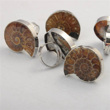 Charm Handmade Natural Conch Ammonite Silver Wrapped Pendant and Ring Set for Women and Men - Jewelry Making Accessory