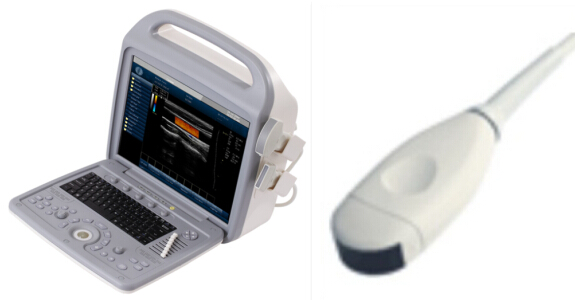 3.5 MHz Micro-Convex Transducer for Portable Color Doppler (PRO-CDS500)