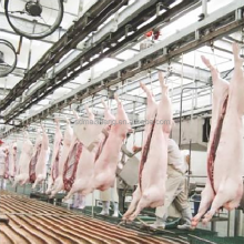 Pig Slaughter and Butchery Equipment for Slaughterhouses
