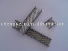 D-hog ring carton staples