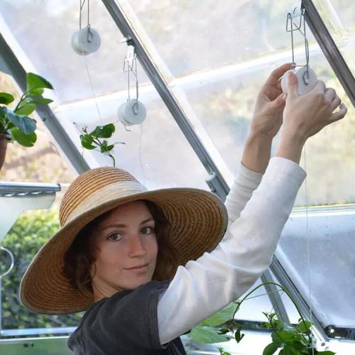 Crochet de rouleau de tomate de palissage de tomates pour l&#39;appui de plantation