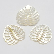 PandaHall Monstera Leaf Charms: Unique Mother of Pearl Shell Pendants for Tropical Style