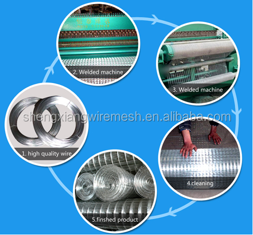 High  quality stainless steel welded wire mesh