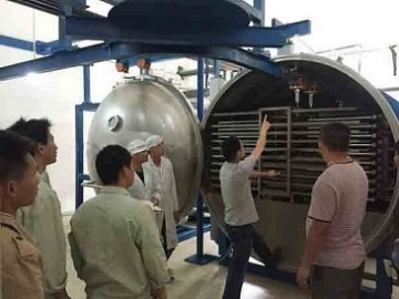 hawthorn slice vacuum drying machine for food industry