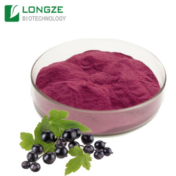 Natural black elderberry fruit powder