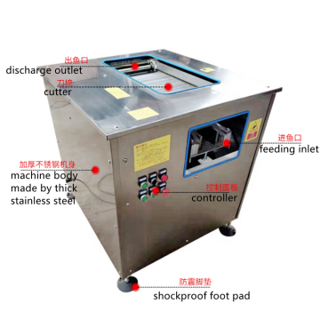 2CM Fish Slicing Machine - Fish Straw Slicer & Cutting Machine