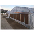 Galvanized steel Frame Single span PE Film greenhouse