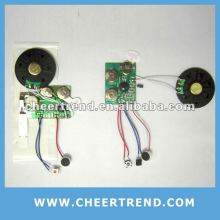 Recording voice chip