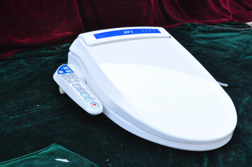 High Quality Build in electric toilet seat Bidet XR.ZJQ-01A