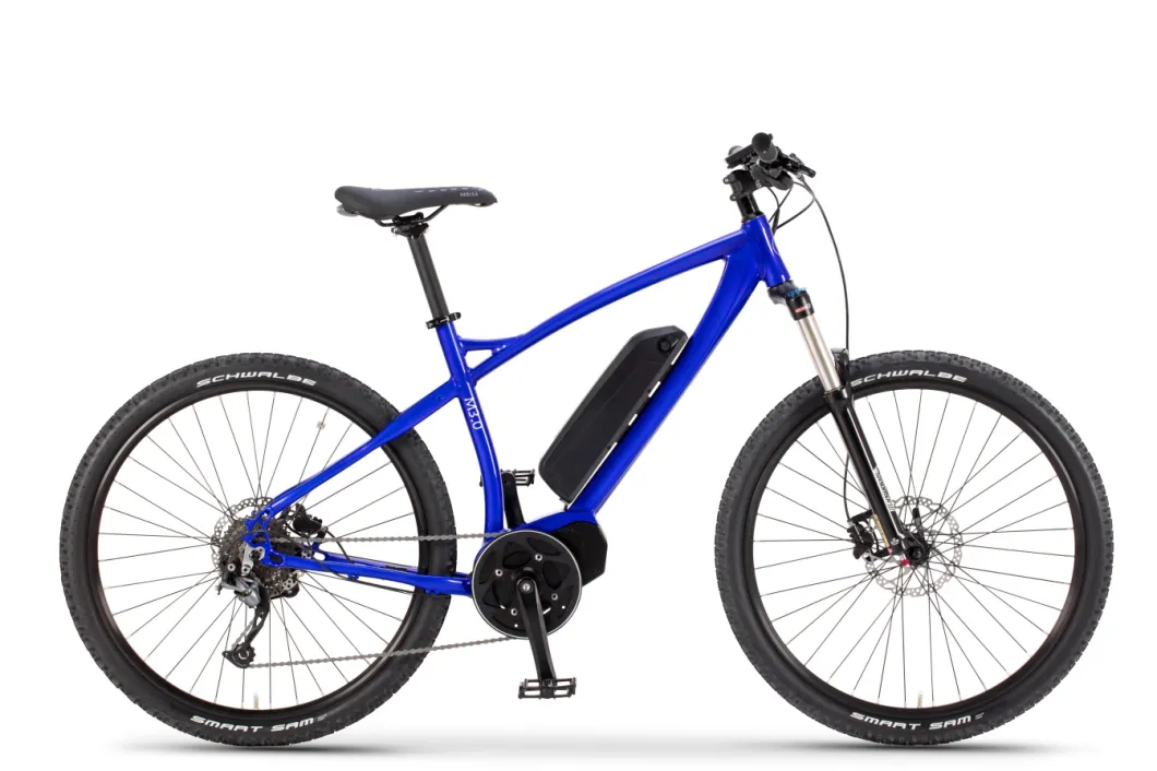 OEM/ODM City Road Mountain Light Weight Electric Bike with MID Motor