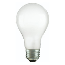 Frosted E27 Incandescent Light Bulbs: 110V/220V 60W-100W