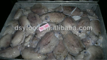 frozen octopus fish