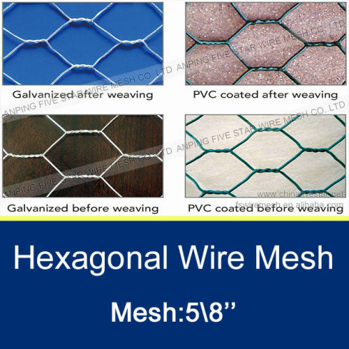 lowest price and best quality 3/4'' Galvanized Hexagonal Wire Netting/hexagonal wire mesh/galvanized netting wire