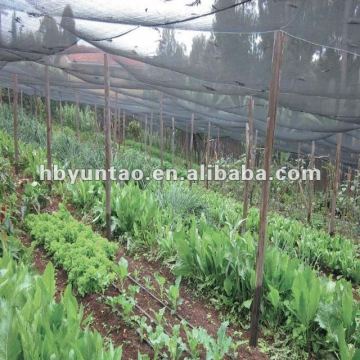 vegetable garden enclosures