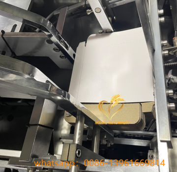 Wet Wipe Cheese Pack Cartoning Carton Packing Machine