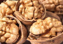 Fresh  raw walnut kernel