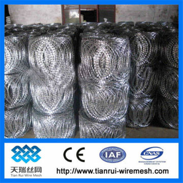 barbed wire /stainless steel razor barbed wire/flat razor wire