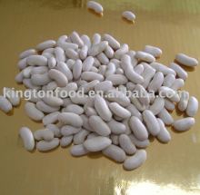 Supply all size white beans