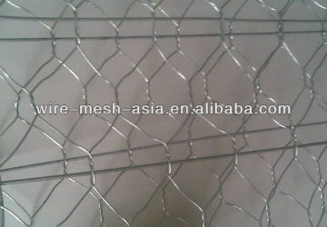 Reinforced gabion mesh