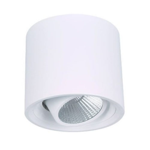 Cylindrical Decorative 10W LED Downlight