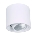 LEDER Cylindrical Decorative 10W LED Downlight