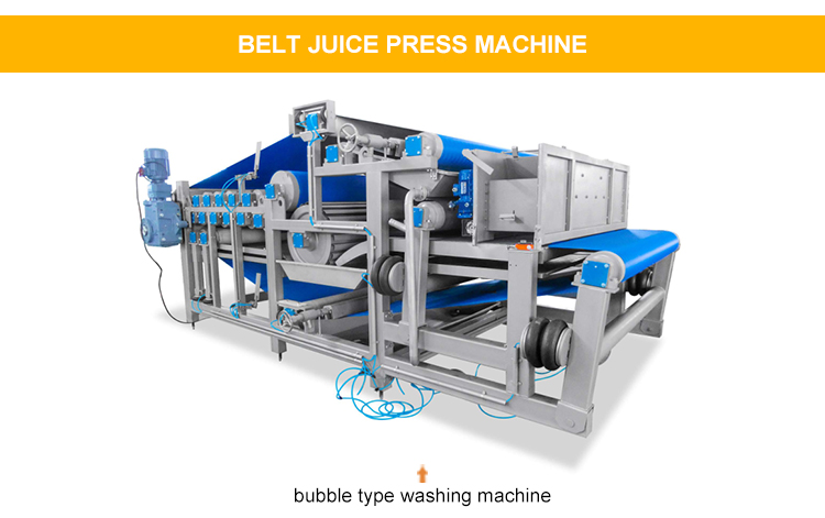 Mango Peeling Machine Fruit Pulp Processing Machinery Fruit Jam Machinery