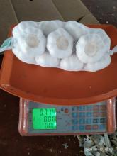 nutral Fried Shallot Fried Onion Crispy dehydrated carrot