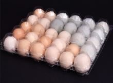 disposable plastic egg packing tray 30 holes