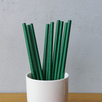 Starbucks Green Paper Straws