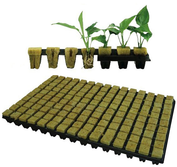 Rock Wool Hydroponics Planting system for Greenhouse