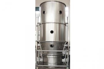 GFG coconut garlic fluid bed dryer