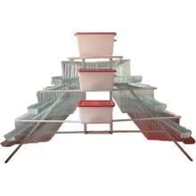 Automatic Poultry Cages for 10,000 Layer Chickens - Egg Production Systems