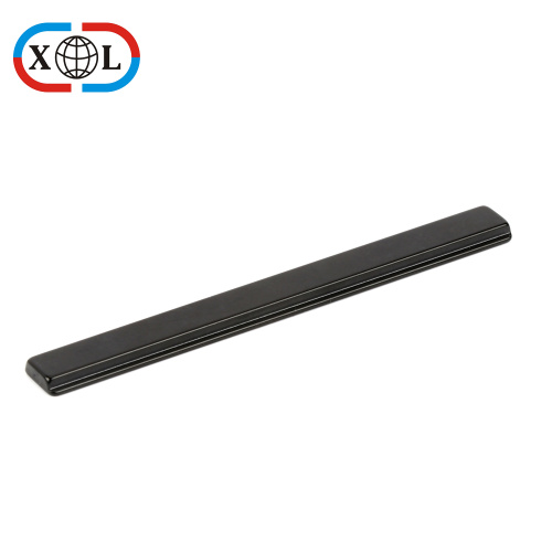 Double Sided Rare Earth NefeB Magnet Black Epoxy