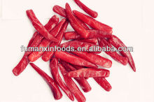 Frozen chilli
