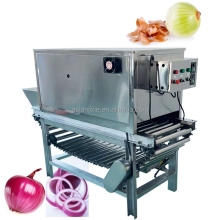 Stainless Steel Green Onion Peeling Machine | Dry Onion Peeler Machine