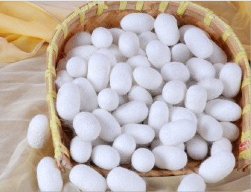 Natural Silk Beauty Cocoon Facial Cleanser Ball Scrab Skin Care