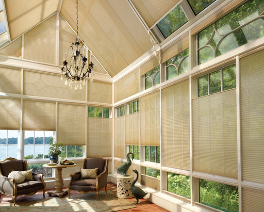 Honeycomb blinds for windows