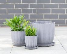 Handcrafted Decorative Basin with Unique Carving