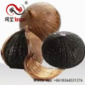 Лучшая продажа Solo Black Garlic с FDA