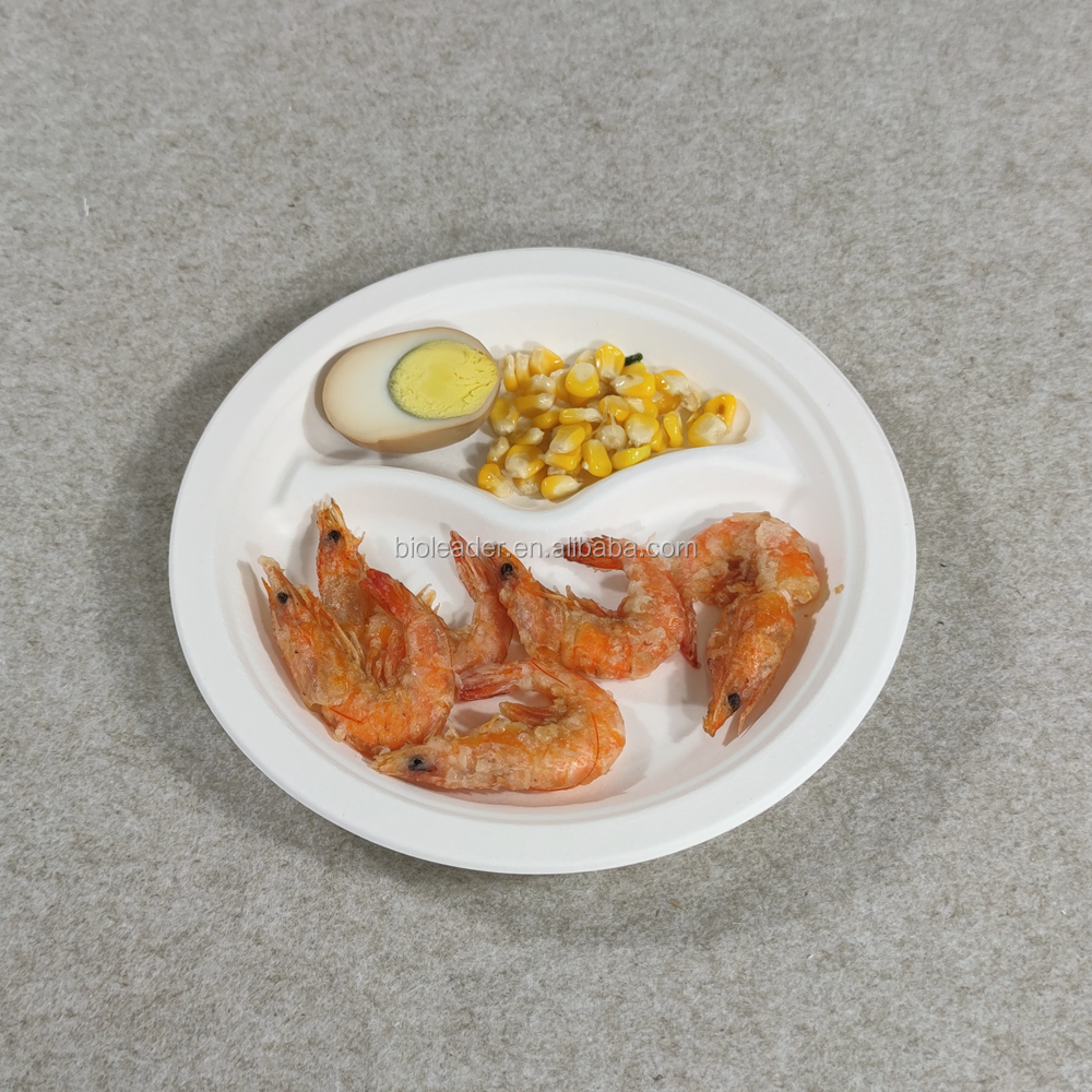 100%Biodegradable Disposable Bagasse Dinner Paper Plate