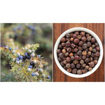 100% Pure Therapeutic Grade Juniper Berry Essential Oil