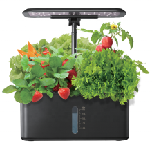 Indoor Cheap Mini Hydroponic Desktop Garden with LED Grow Lighting