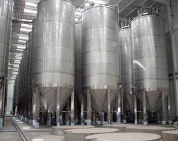 60BBL stainless glycol microbrewery equipment