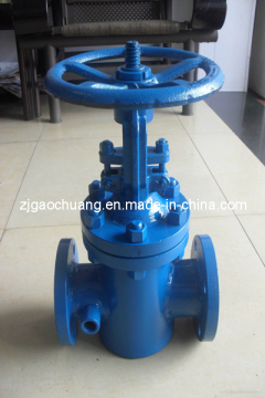 Jacket Gate Valve