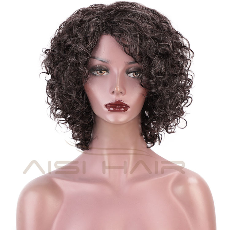 Aisi Hair New Design For Black Women Human Hair 100% Brazilian Hair Afro Kinky Curly Mixed Gray Brown Wig