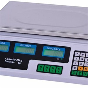 Digital Price Computing Scale TS-805