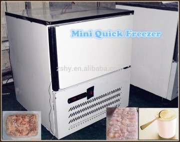 Mini quick freezing machine for quick freezing and blast freezing