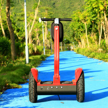 Mini New Model Electrical Scooter (ESIII)