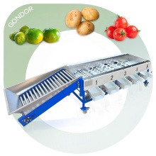Kiwi Sorting Machine: Carrot Cardamom Fruit Lemon Guava Grader" 

However, if you want a more focused and clear title for a search engine, I would suggest:

"Kiwi Weight Roller Grader Sorting Machine