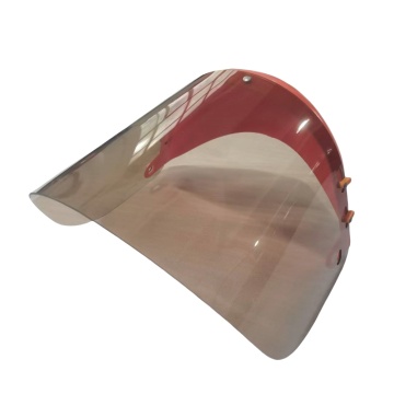 Transparent Full Face Protection Mask